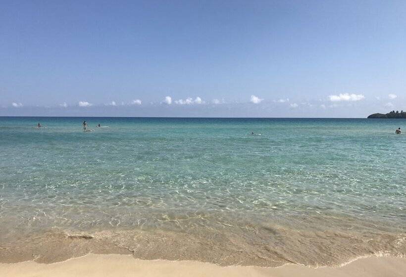 فندق Palmar Beach Lodge