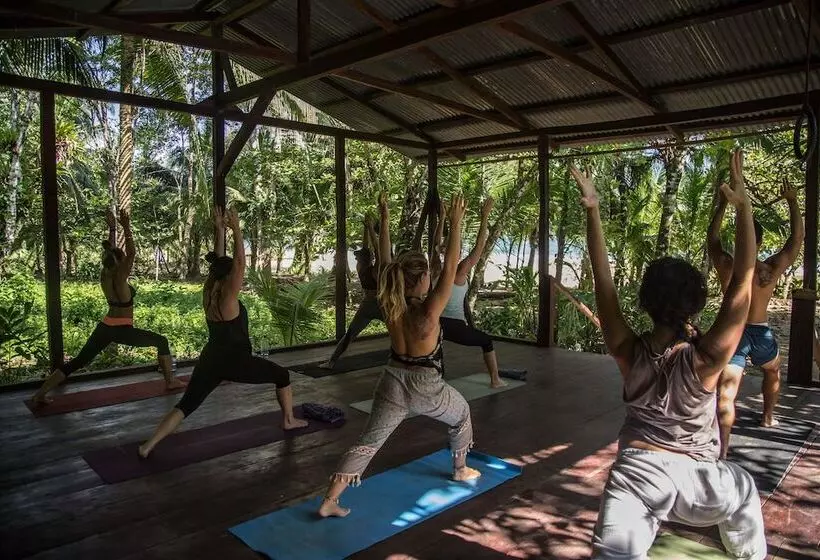 هتل Palmar Beach Lodge