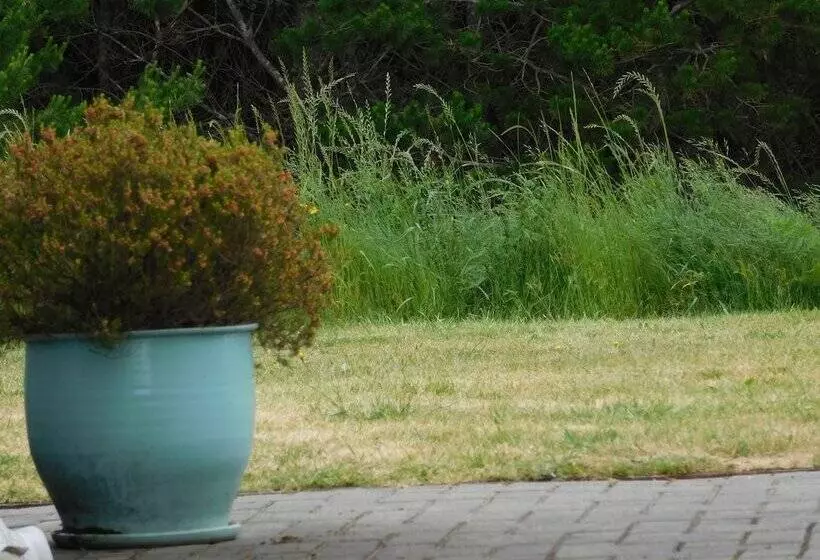 ホテル The Anchorage Cottages