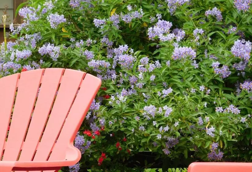 ホテル The Anchorage Cottages