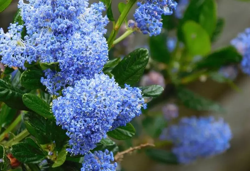 ホテル The Anchorage Cottages