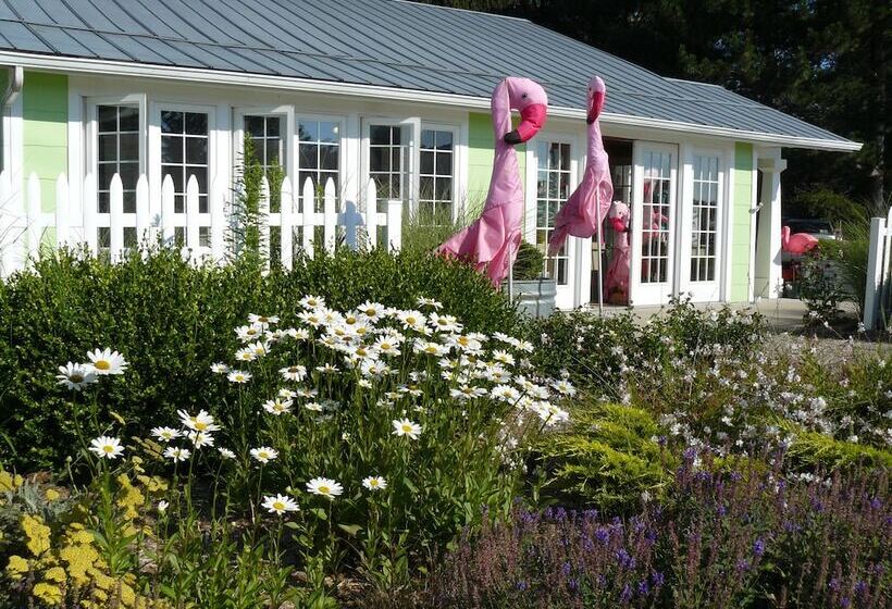 فندق The Pines Motorlodge