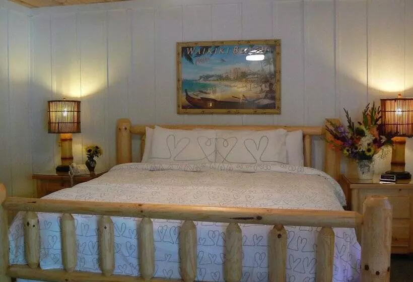 Hotelli The Pines Motorlodge