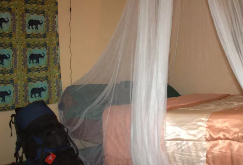 هاستل Zinga Backpackers