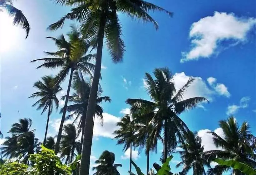 Balay De La Rama Bed & Breakfast