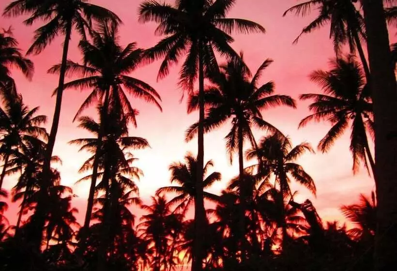 Balay De La Rama Bed & Breakfast