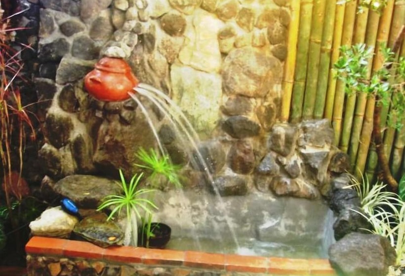 Balay De La Rama Bed & Breakfast