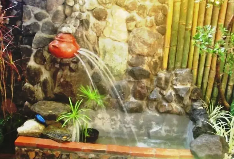 Balay De La Rama Bed & Breakfast