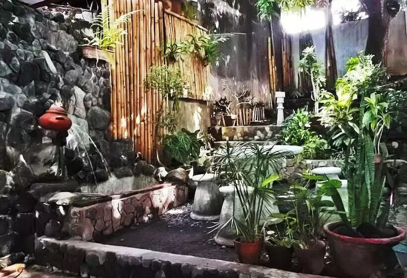 Balay De La Rama Bed & Breakfast