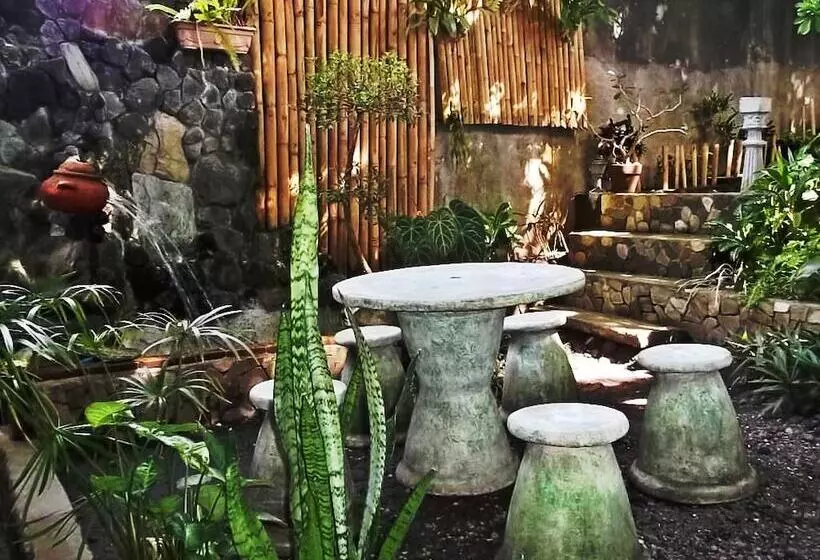 Balay De La Rama Bed & Breakfast