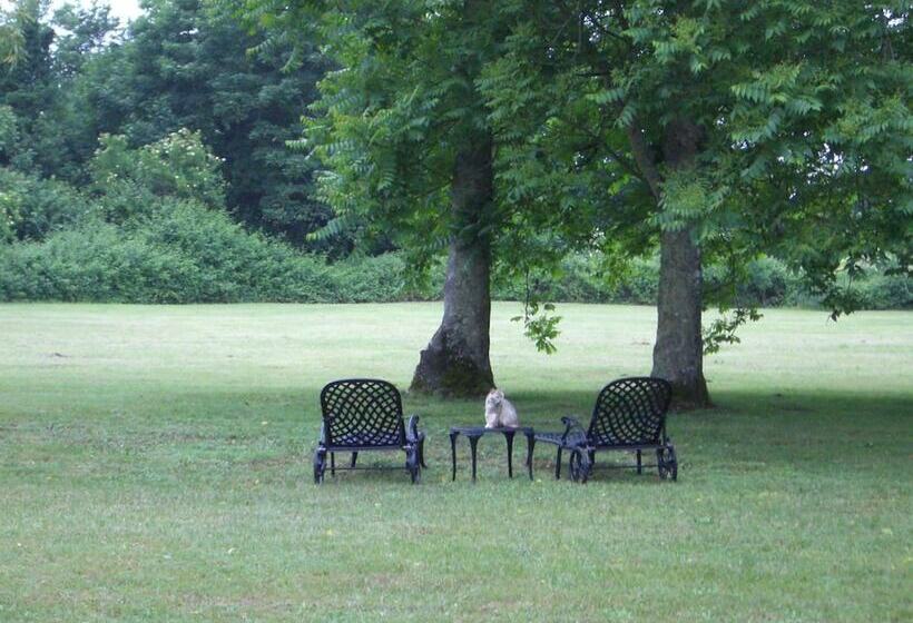 בית מלון כפרי Château Des Salles