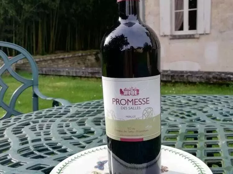 Hotelli Château Des Salles