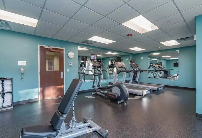 فندق Fairfield Inn & Suites By Marriott Elkhart