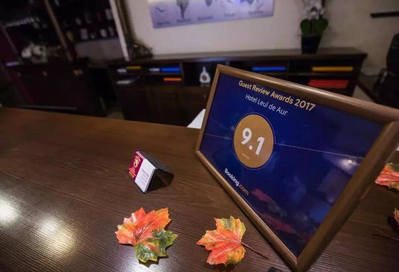 Отель Leul De Aur