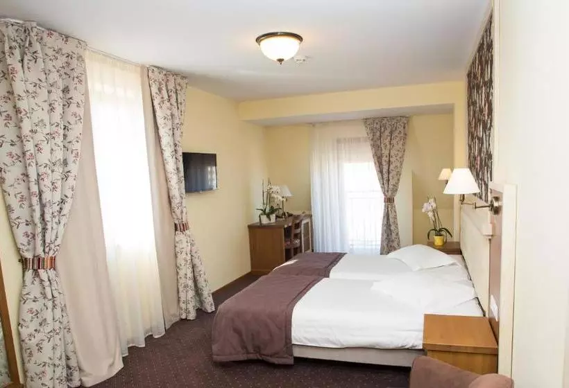 Отель Leul De Aur