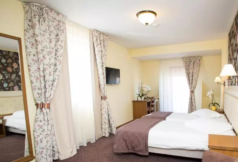 Отель Leul De Aur