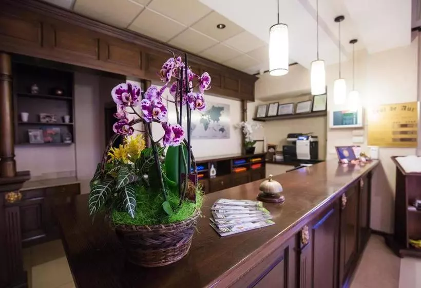 Отель Leul De Aur