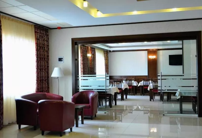 Отель Leul De Aur