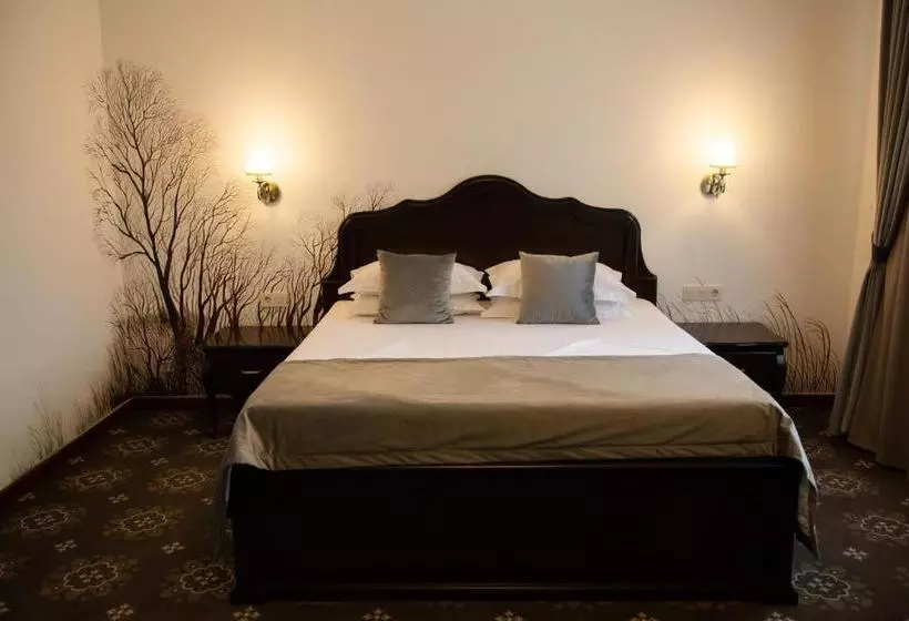 Отель Leul De Aur