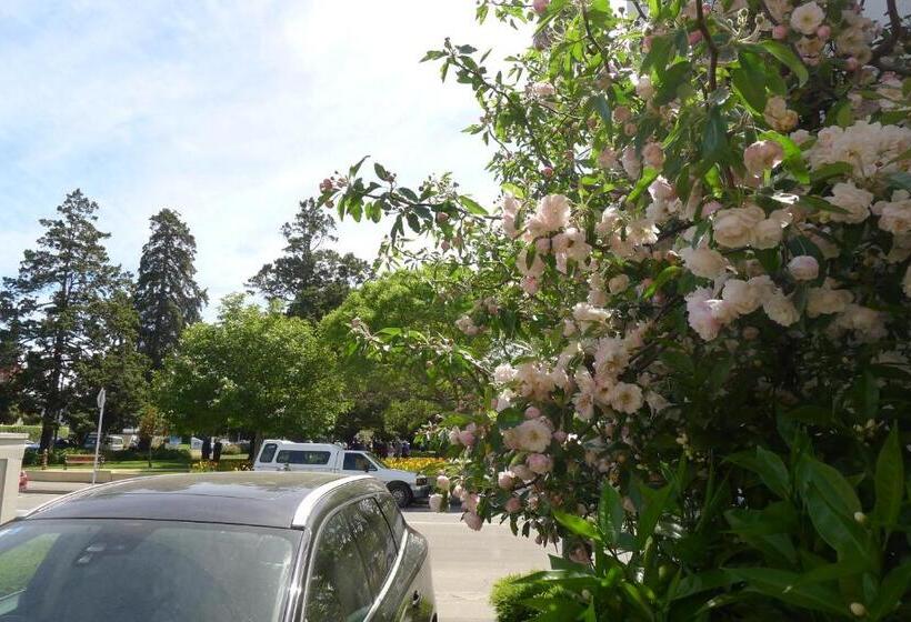 فندق Lugano Motor Lodge