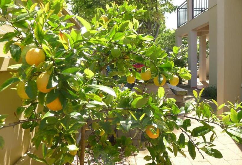 فندق Lugano Motor Lodge