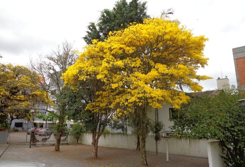 ホテル Steinhausen