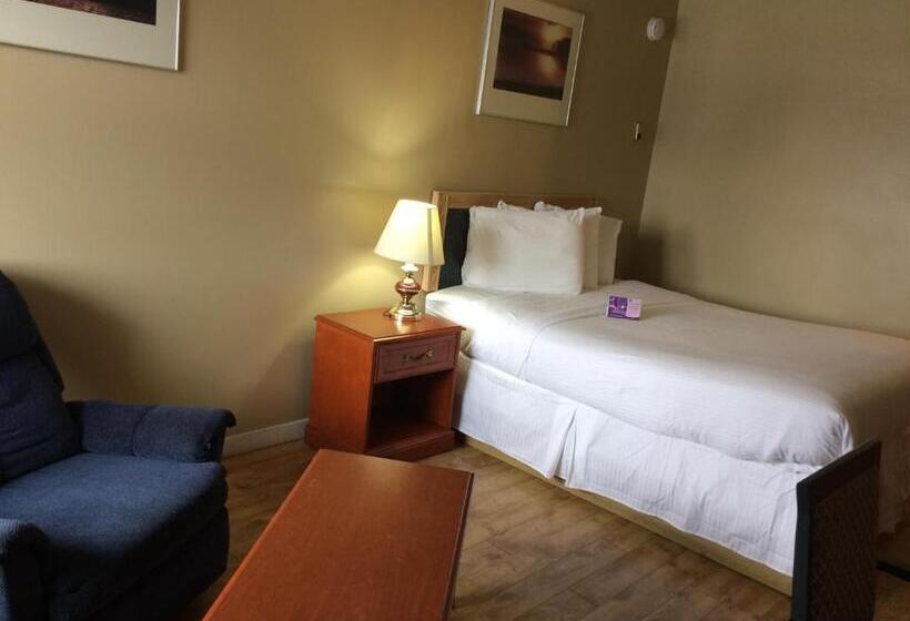 فندق على الطريق Nice Inn Edmonton