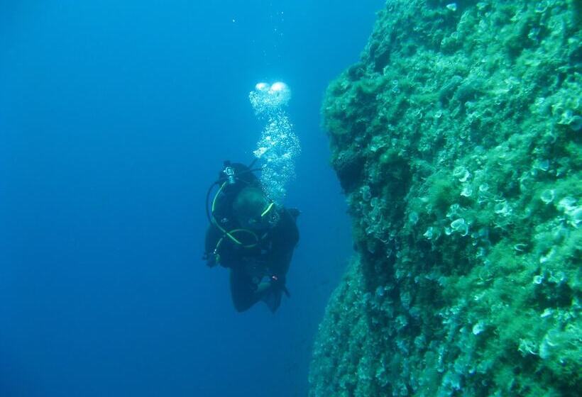 Myrties Boutique Aparments