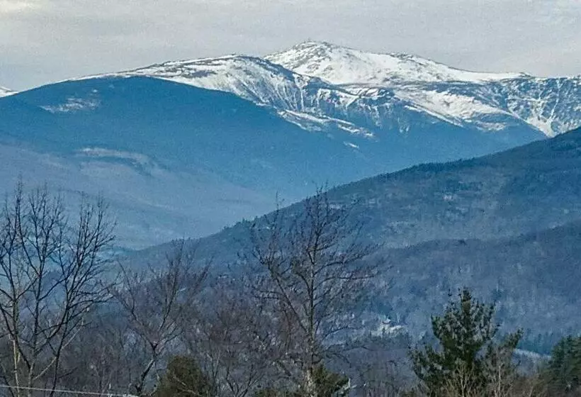 ホテル Mount Washington Views