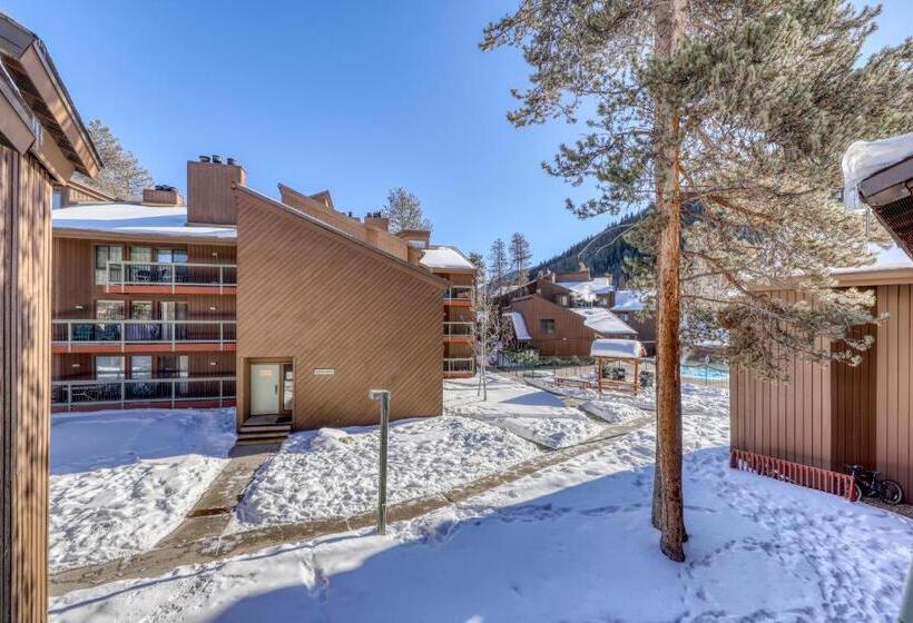 هتل Wild Irishman 1080