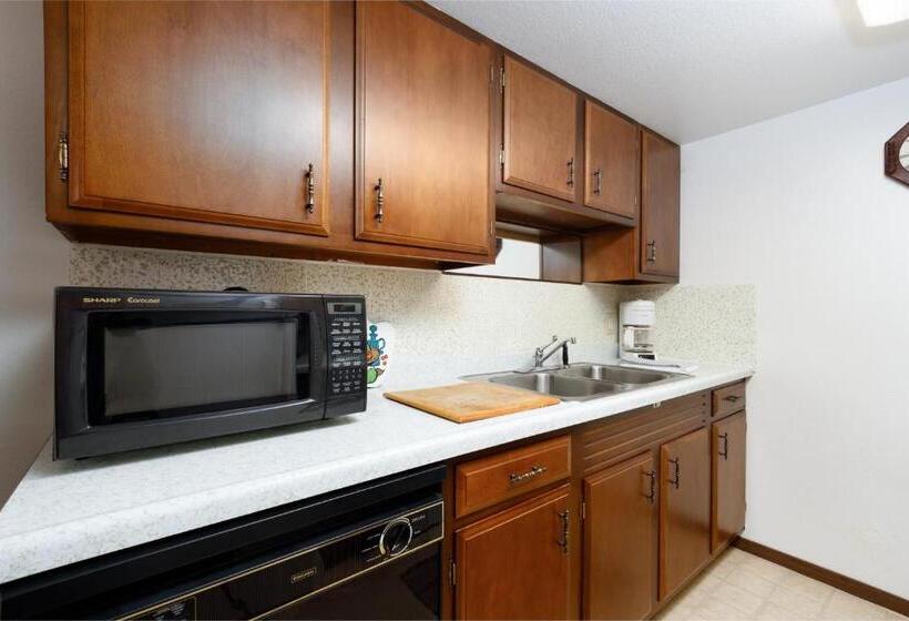 בית מלון כפרי Skiview #103