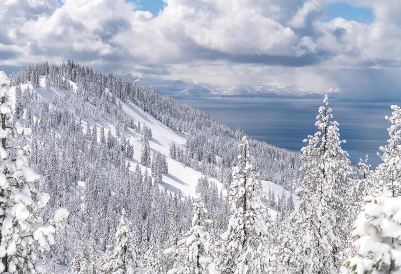 فندق North Tahoe Nest