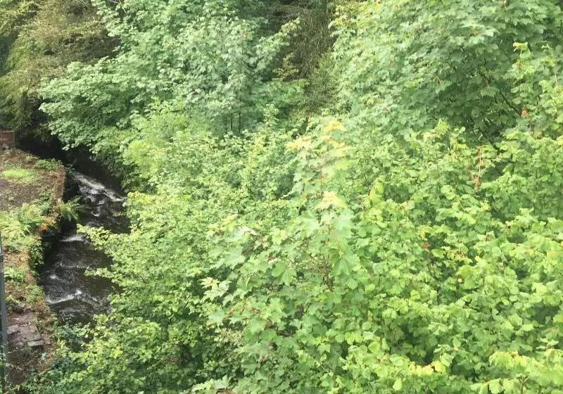 Bed and Breakfast Glencree