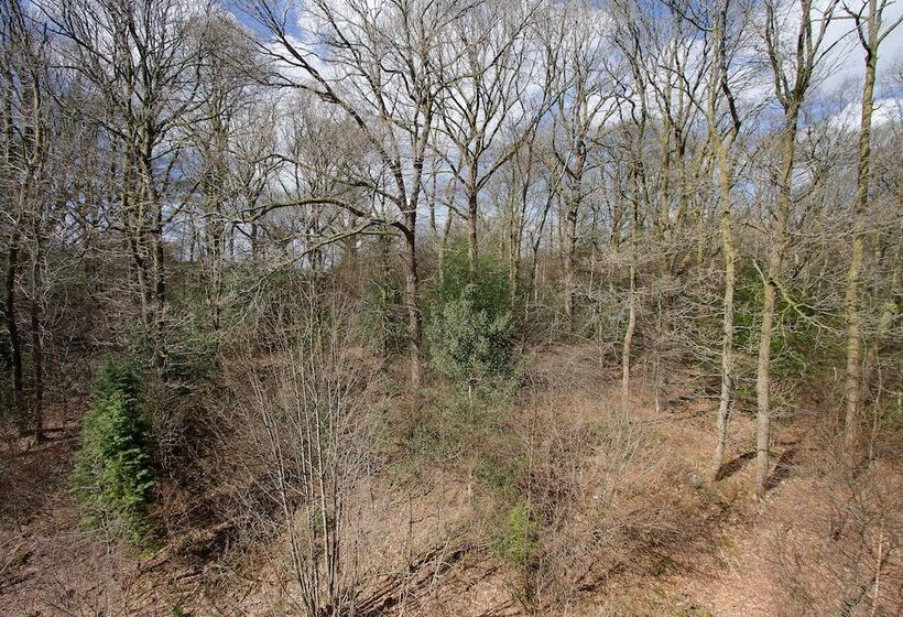 住宿加早餐  Glencree