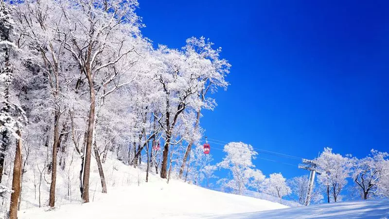 Hotel Holiday Inn Express Changbaishan, An Ihg