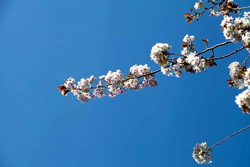 فندق The Devereux Boutique