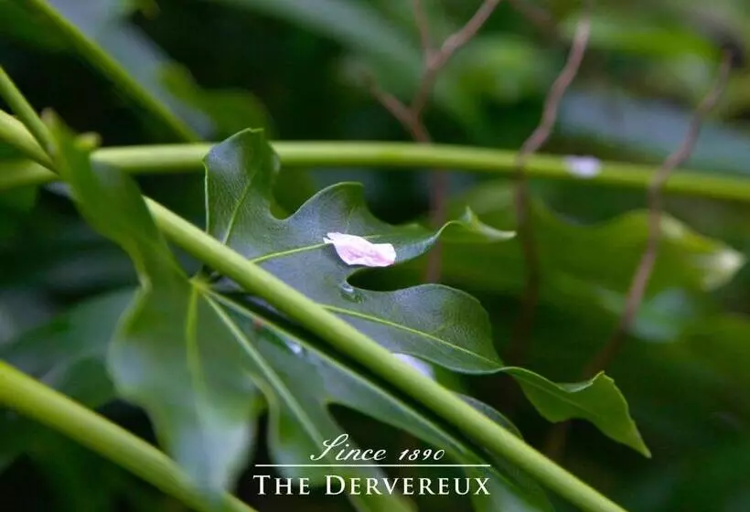 فندق The Devereux Boutique