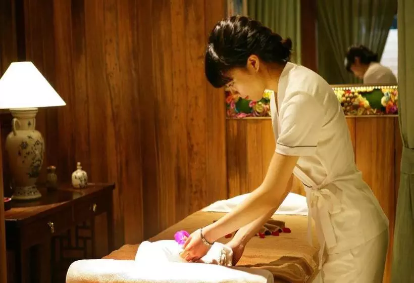 هتل The Palmy  & Spa