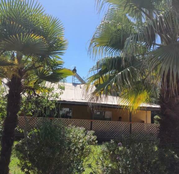 Bed and Breakfast Las Palmeras