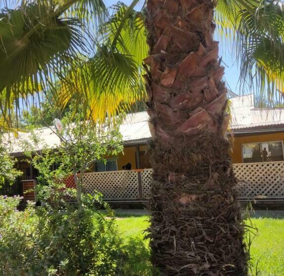 Bed and Breakfast Las Palmeras