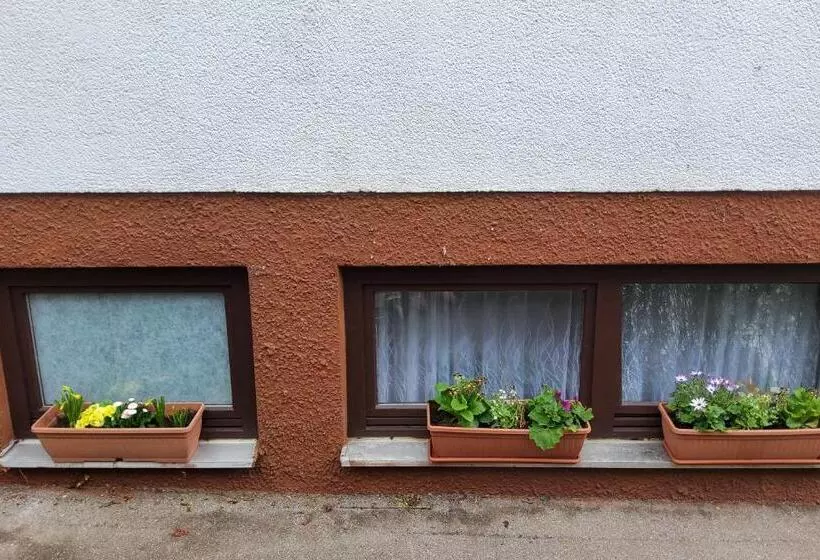 ペンション Brodovskiy  Apartment