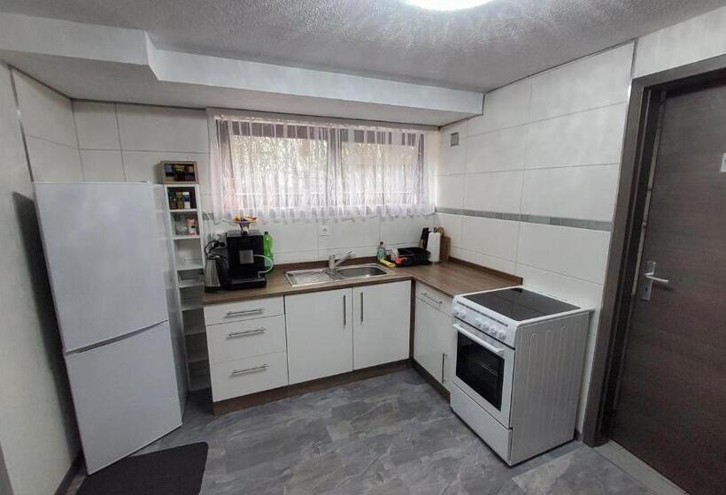 Pensão Brodovskiy  Apartment