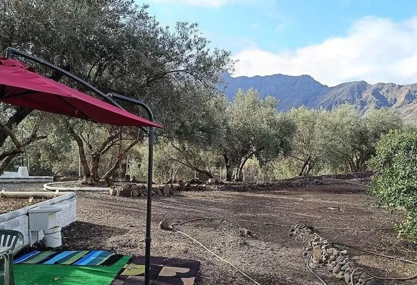 هتل El Vergel