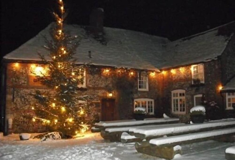 فندق The Fox Goes Free