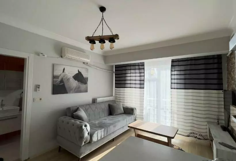 Edirne House