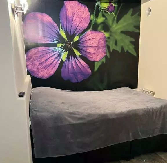 Enigma Hostel