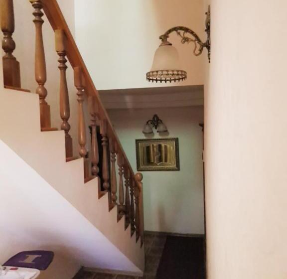 پانسیون Osiyo