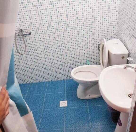 پانسیون Osiyo