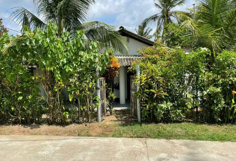 پانسیون Senuri Guest House