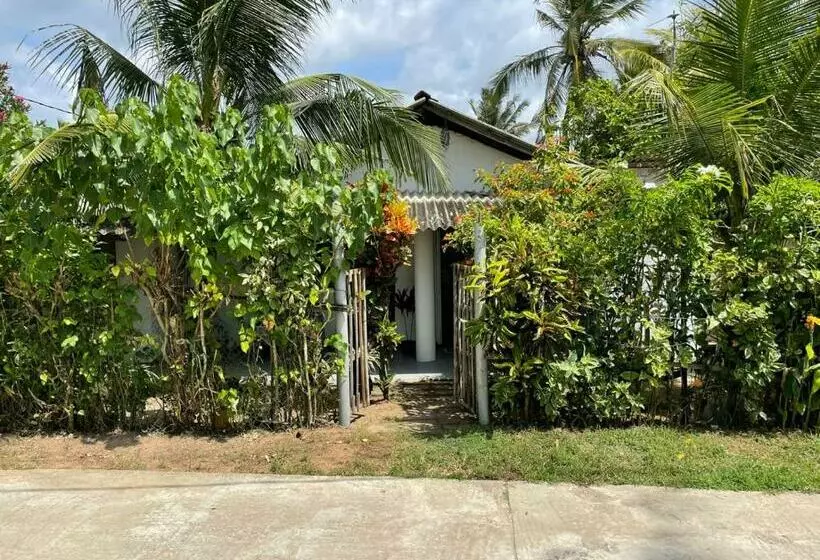 Majatalo Senuri Guest House